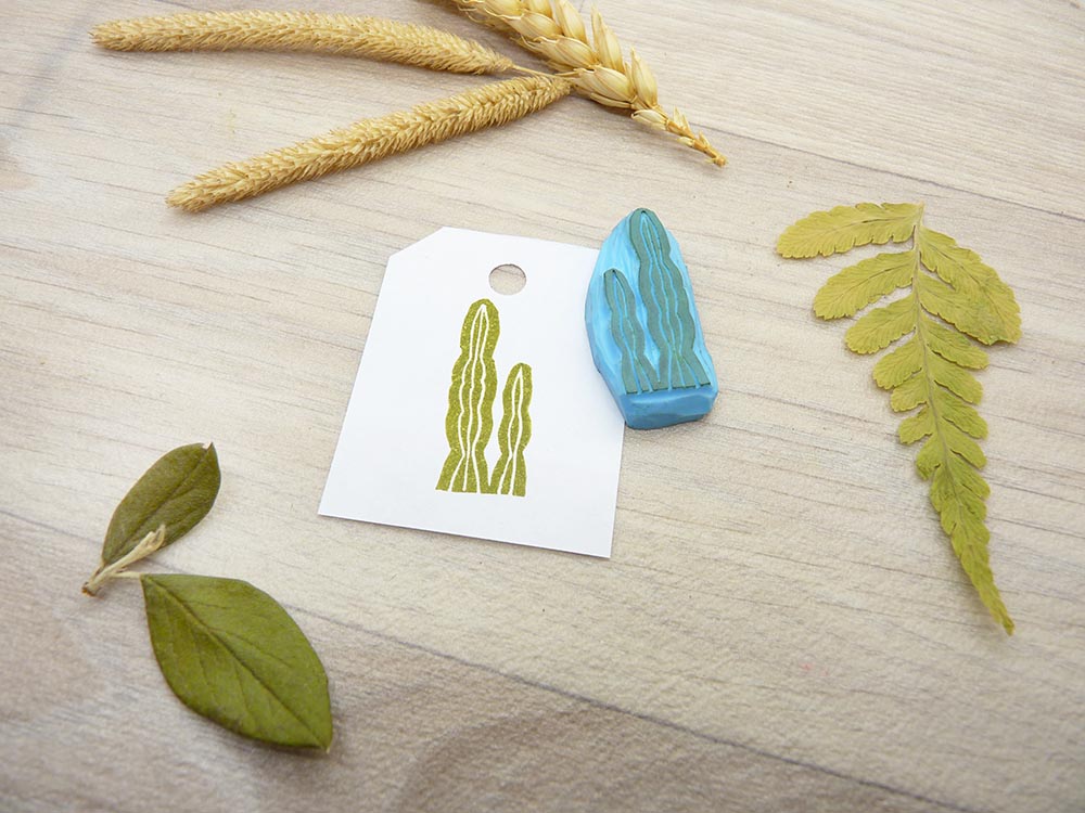 Tampon encreur "Cactus Allongé" - collection plantes d'intérieur" (gravure sur gomme)